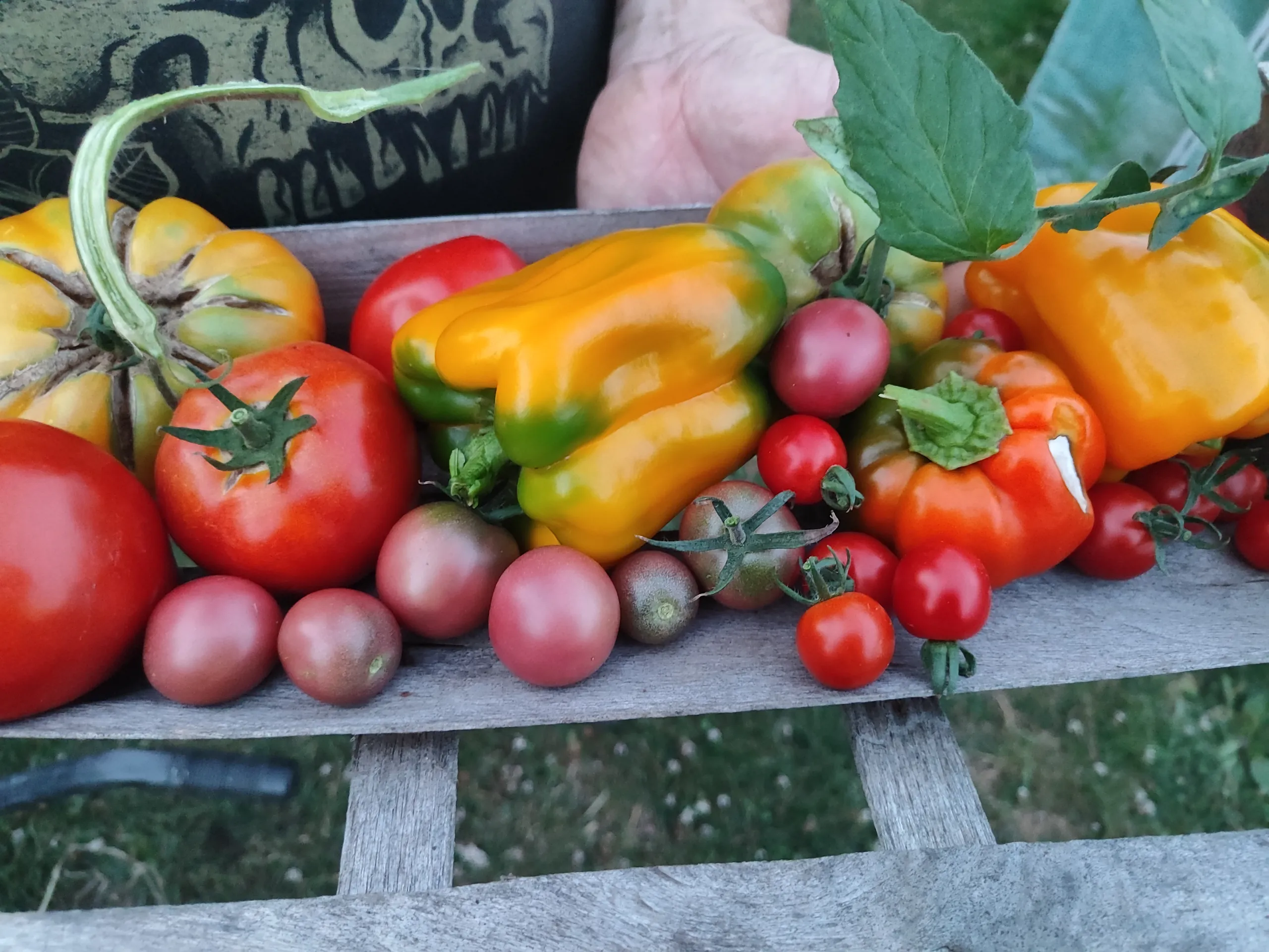03-legumes-du-potager-table-hotes